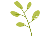 home-whychristianedu
